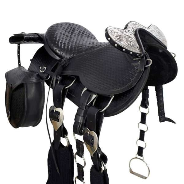 Black Whole Cattle Harness No.11 - Image 7