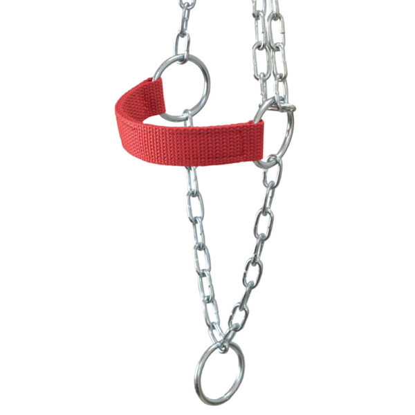 Red Adjustable Chain Calf Halter - Image 5