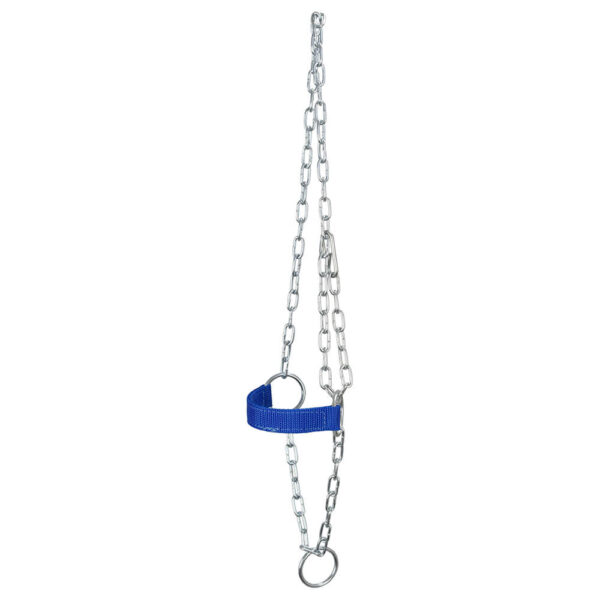 Blue Adjustable Chain Calf Halter - Image 2