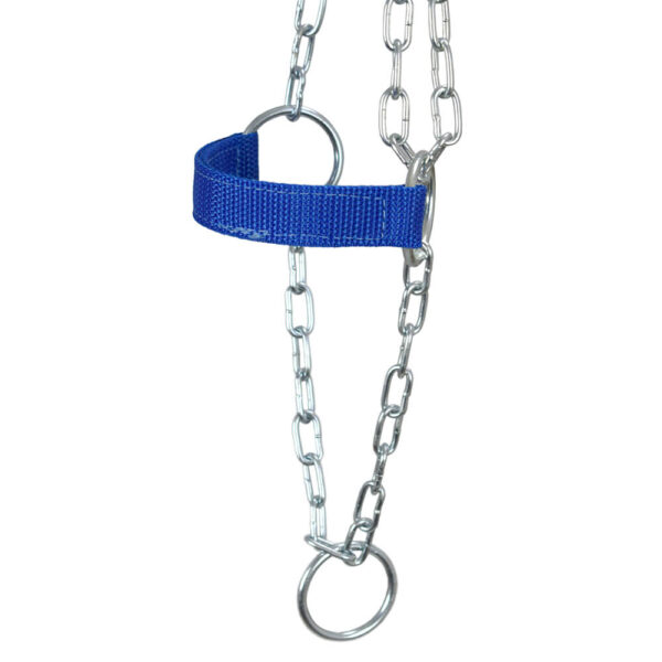 Blue Adjustable Chain Calf Halter - Image 4