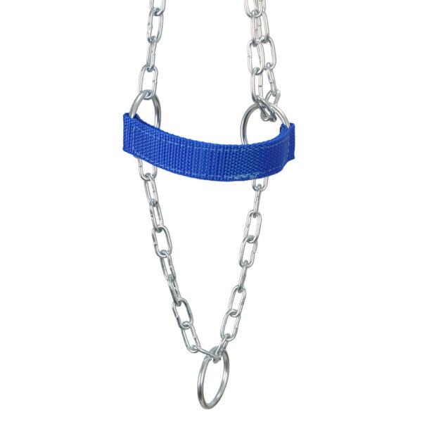 Blue Adjustable Chain Calf Halter - Image 5