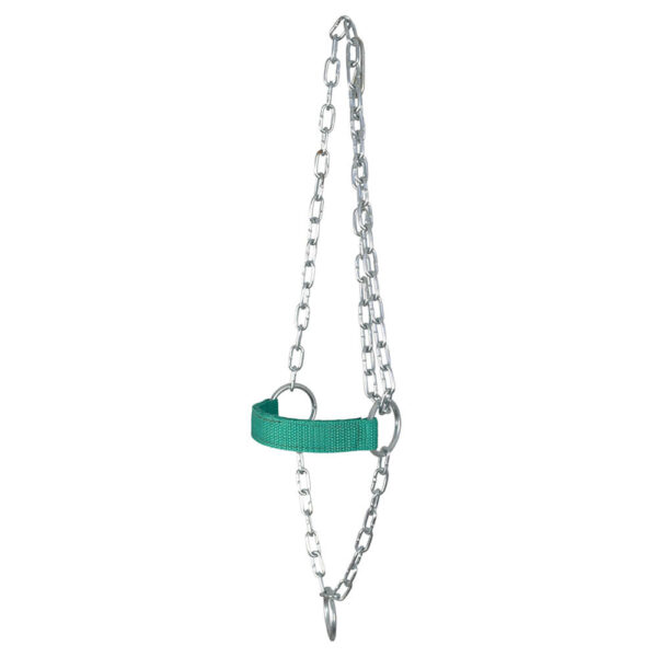 Green Adjustable Chain Calf Halter - Image 2