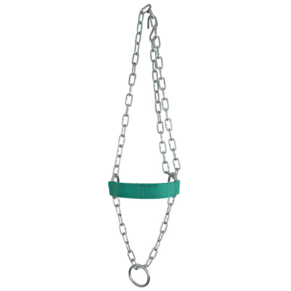 Green Adjustable Chain Calf Halter