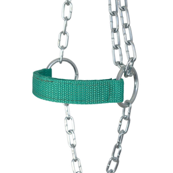 Green Adjustable Chain Calf Halter - Image 4