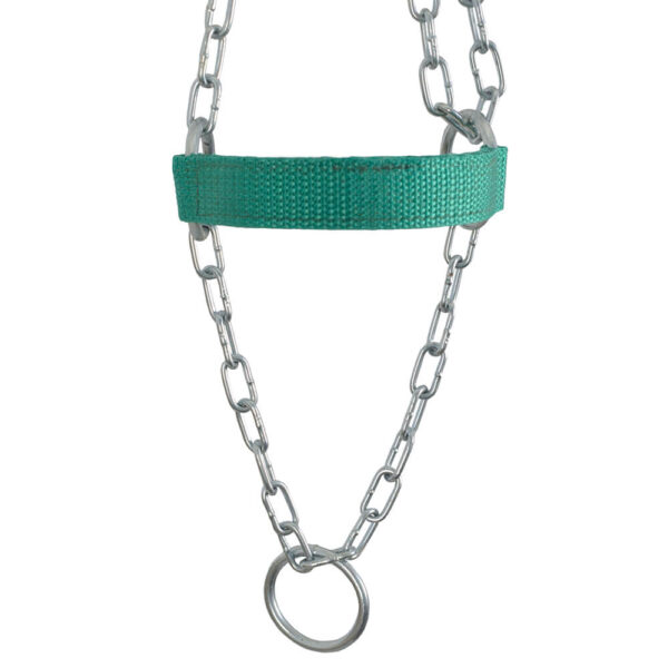 Green Adjustable Chain Calf Halter - Image 5