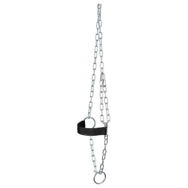 Black Adjustable Chain Calf Halter - Image 2