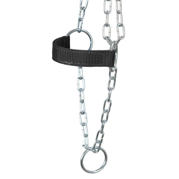 Black Adjustable Chain Calf Halter - Image 4