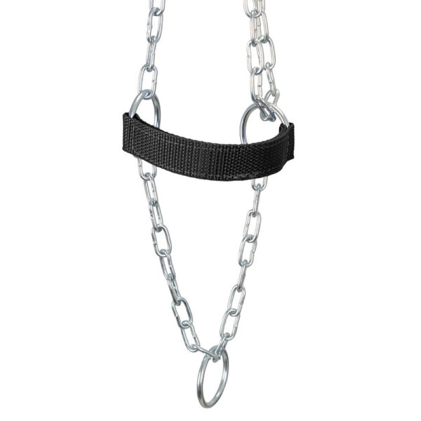 Black Adjustable Chain Calf Halter - Image 5