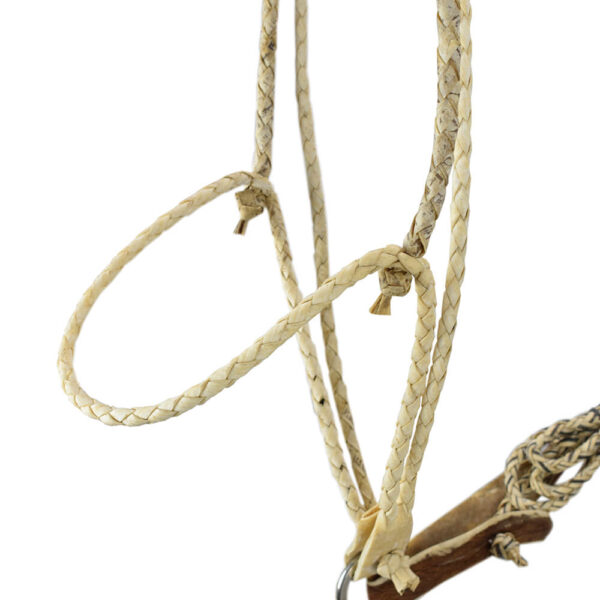 Rawhide Halter - Image 5