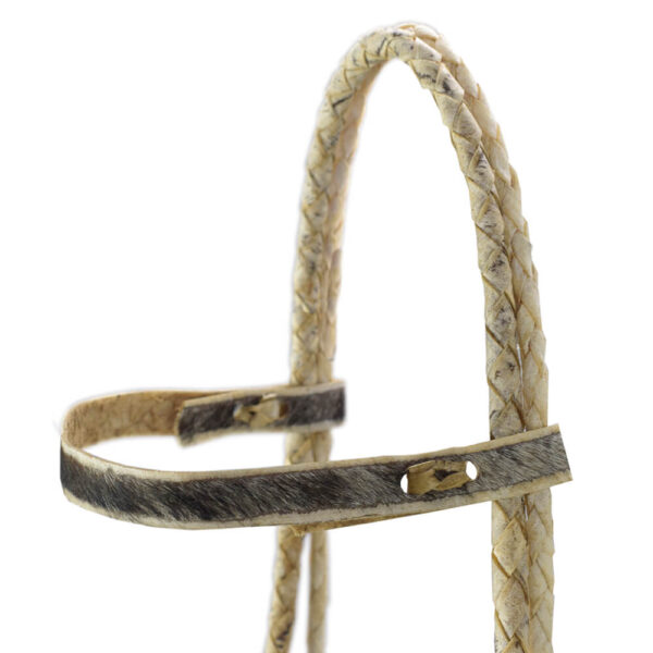 Rawhide Halter - Image 6