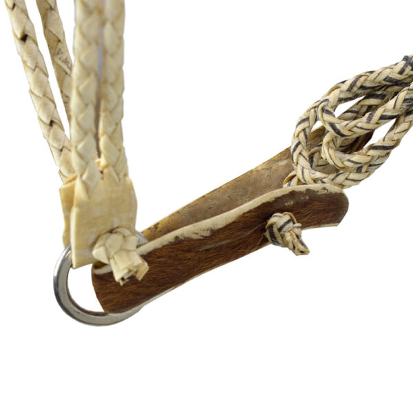 Rawhide Halter - Image 7