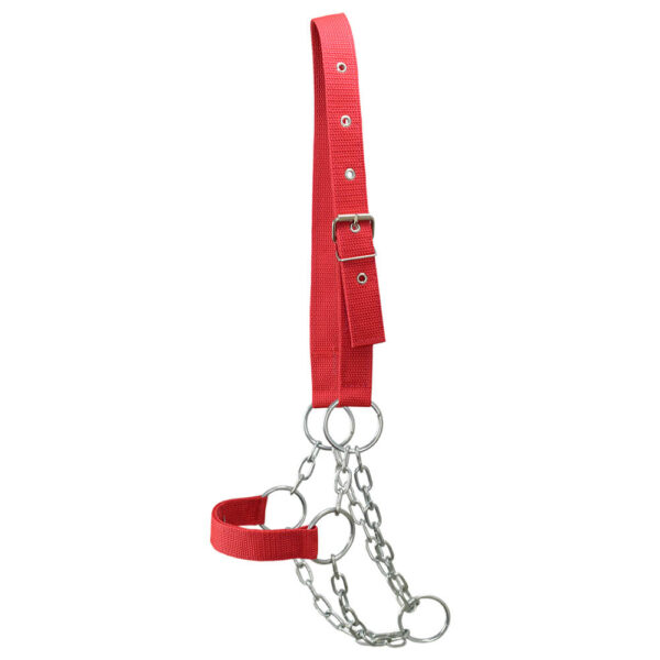 Red Cow Halter with Chain - Image 3