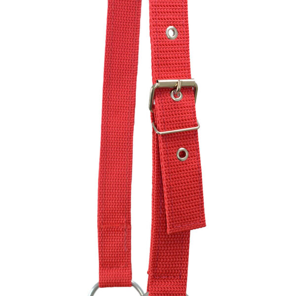 Red Cow Halter with Chain - Image 5